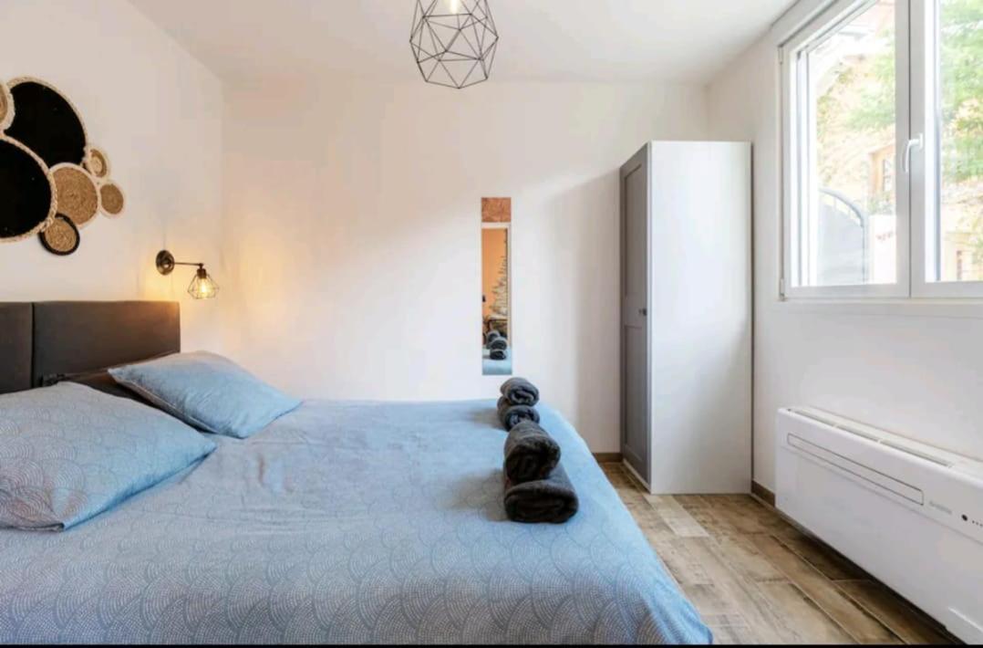 Appartement Terrasse Et Balneo Au Coeur De Monplaisir